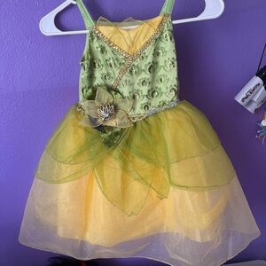 Disney parks official Tiana dress